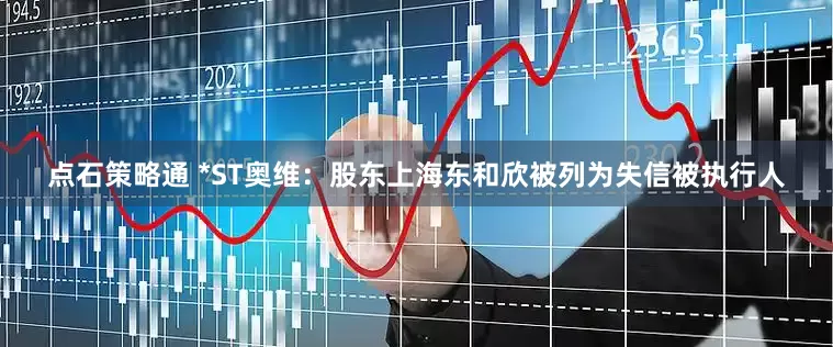 点石策略通 *ST奥维：股东上海东和欣被列为失信被执行人